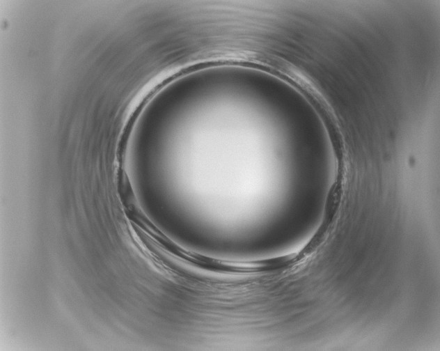 X0000056031332200508191342