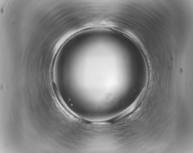 X0000056031344200508191342
