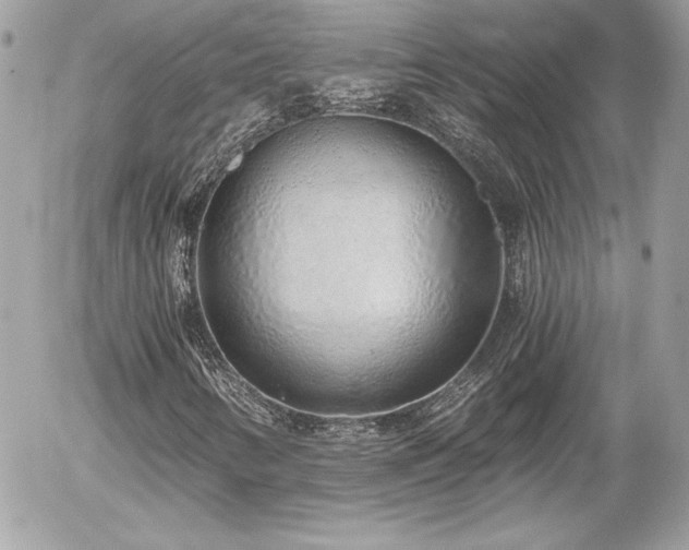 X0000056031346200508191341