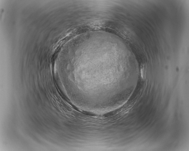 X0000056031347200508191341