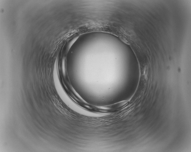 X0000056031348200508191341