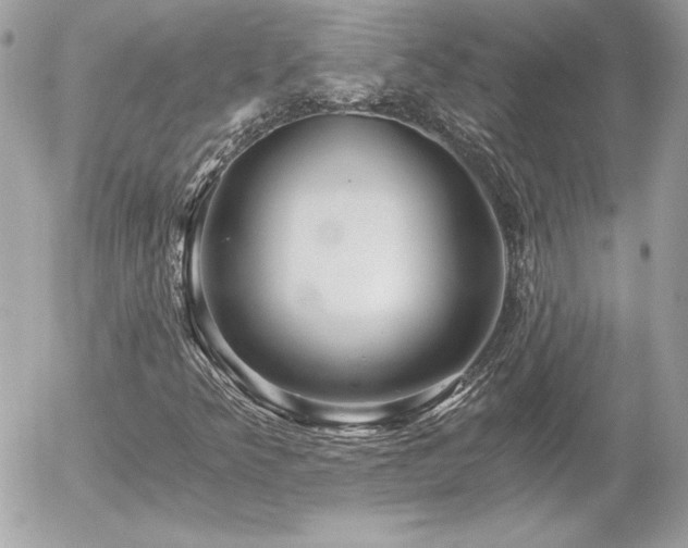 X0000056031349200508191341