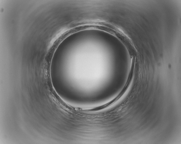 X0000056031360200508191341