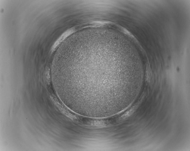 X0000056031362200508191341
