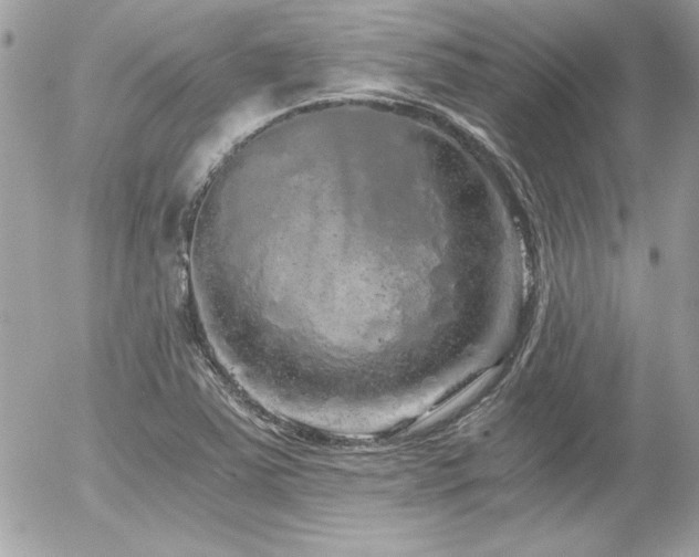 X0000056031363200508191341