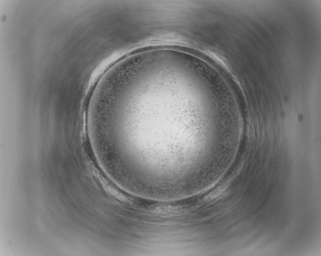 X0000056031366200508191341