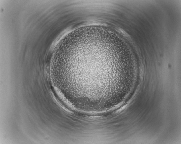 X0000056031369200508191341