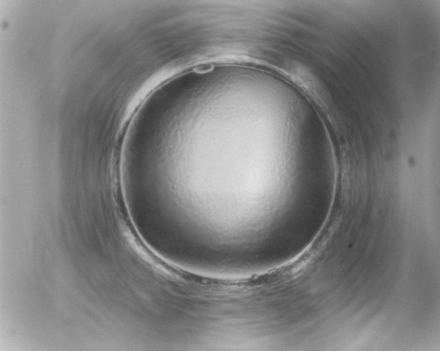 X0000056031382200508191341