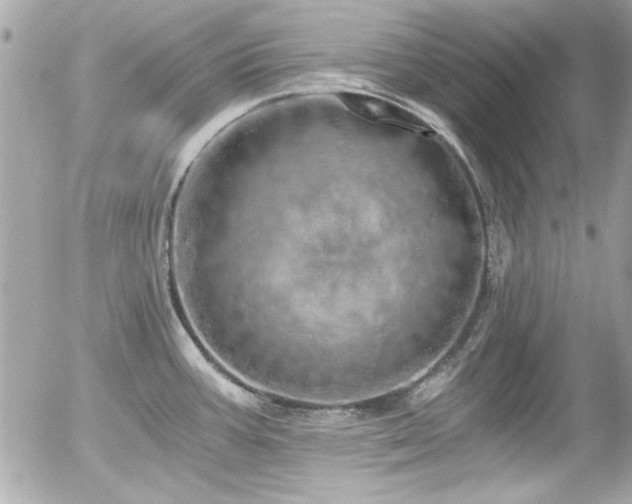 X0000056031387200508191341