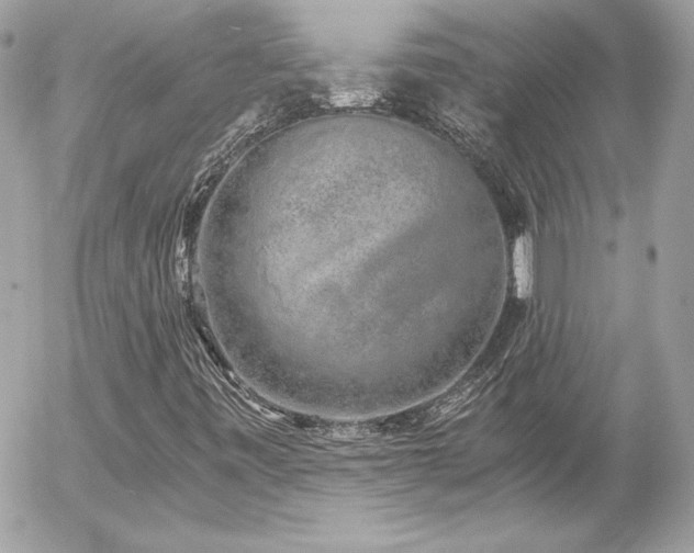 X0000056031443200508191340