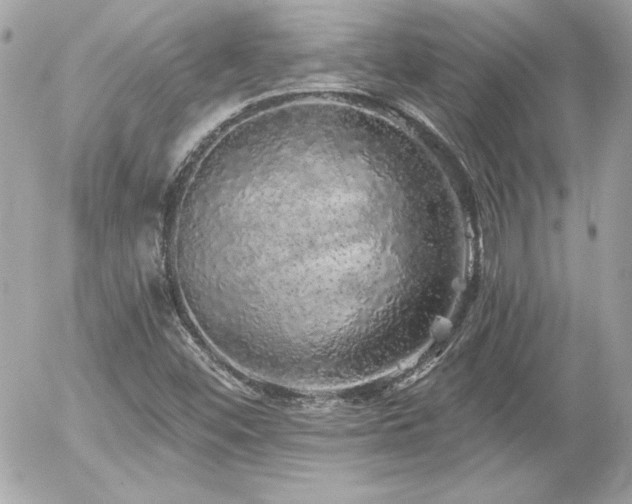 X0000056031452200508191340