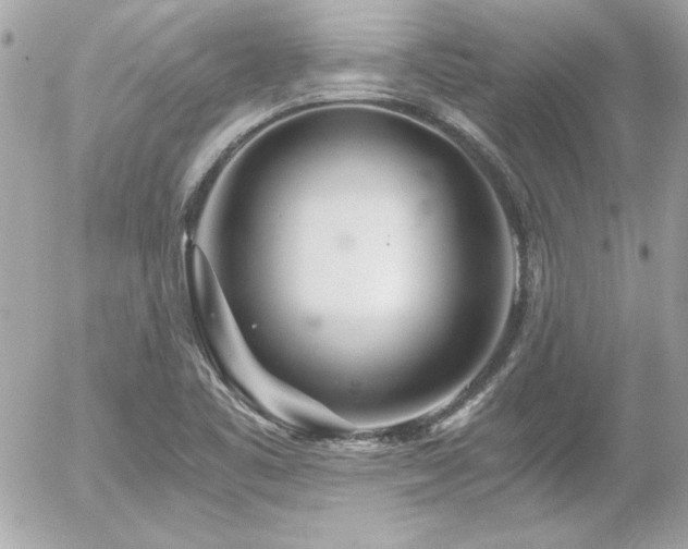 X0000056031461200508191340