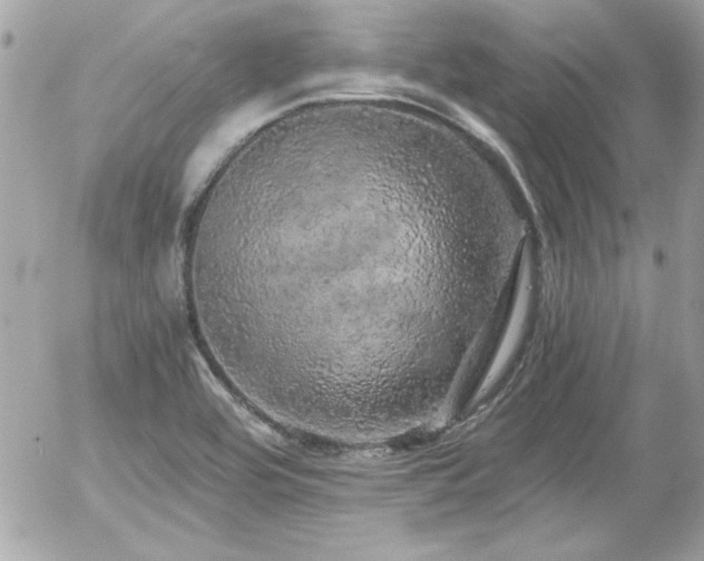 X0000056031464200508191339