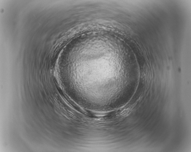 X0000056031490200508191338