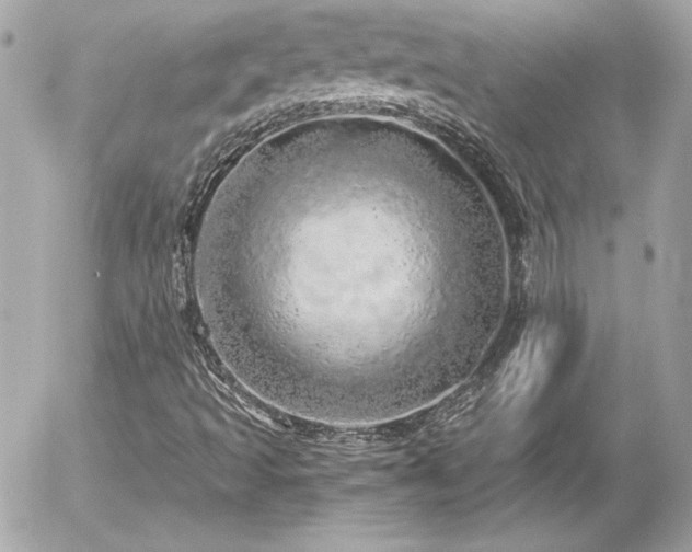 X0000056031493200508191338