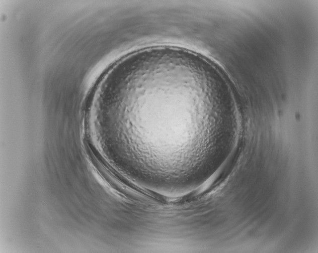 X0000056031511200508191339