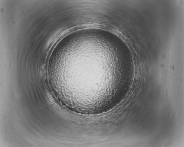 X0000056030002200508221526