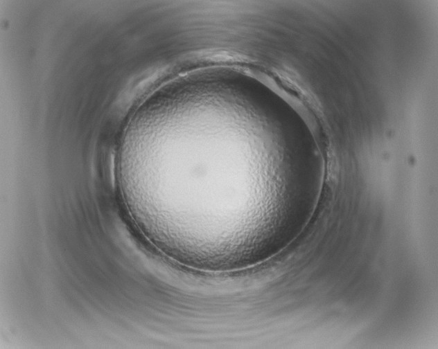 X0000056030014200508221526
