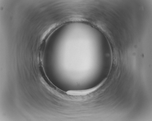 X0000056030015200508221526