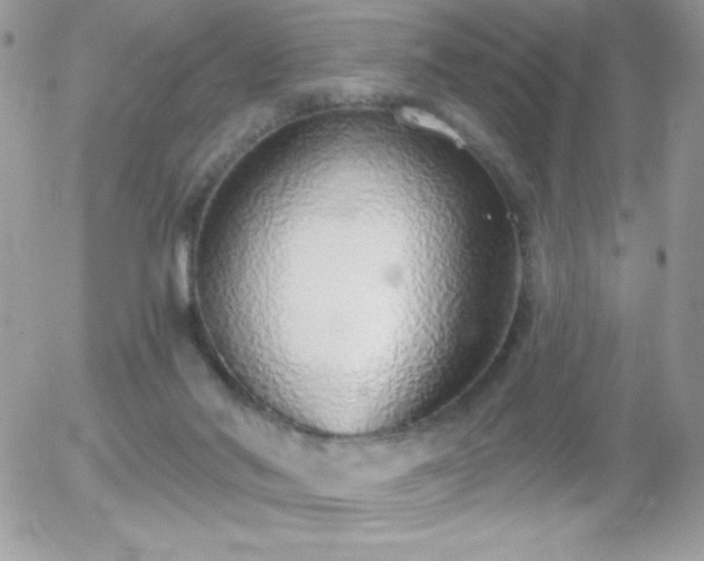 X0000056030022200508221526