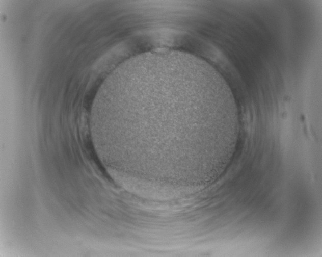 X0000056030029200508221525