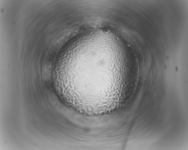 X0000056030030200508221525