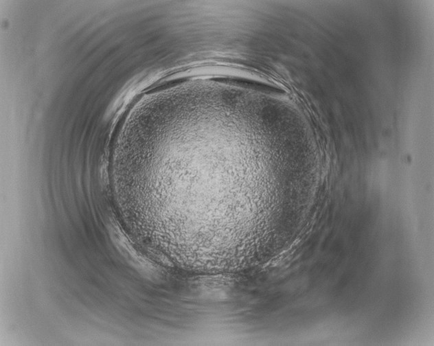 X0000056030050200508221524