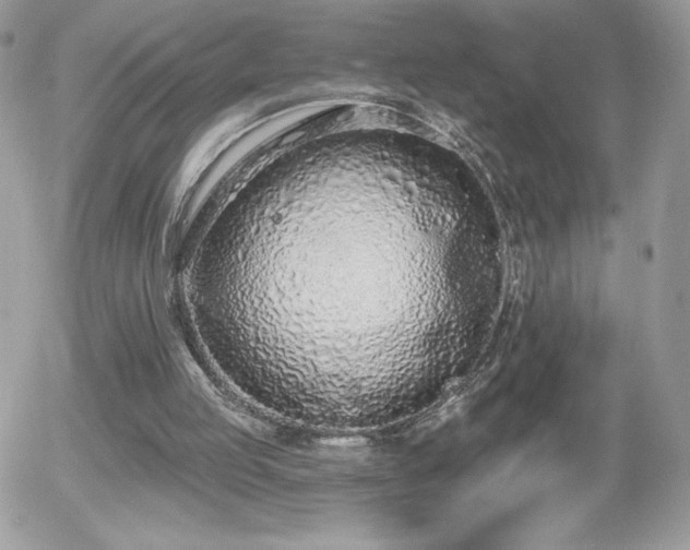 X0000056030053200508221524