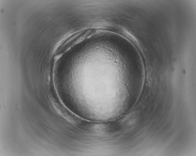 X0000056030059200508221525