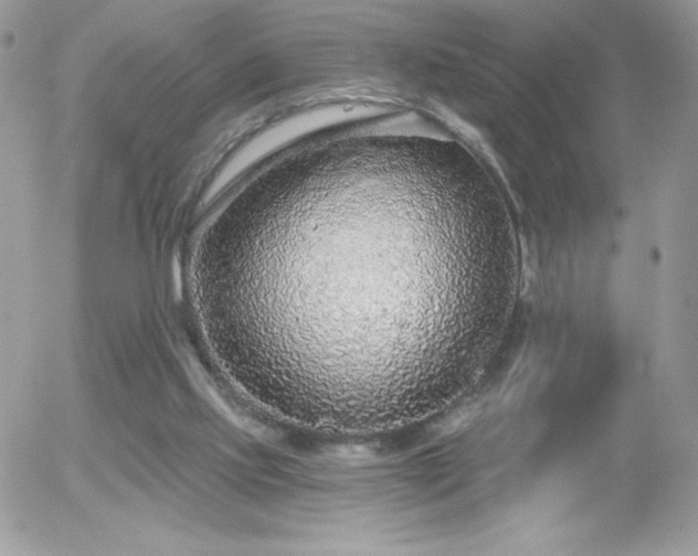 X0000056030061200508221525