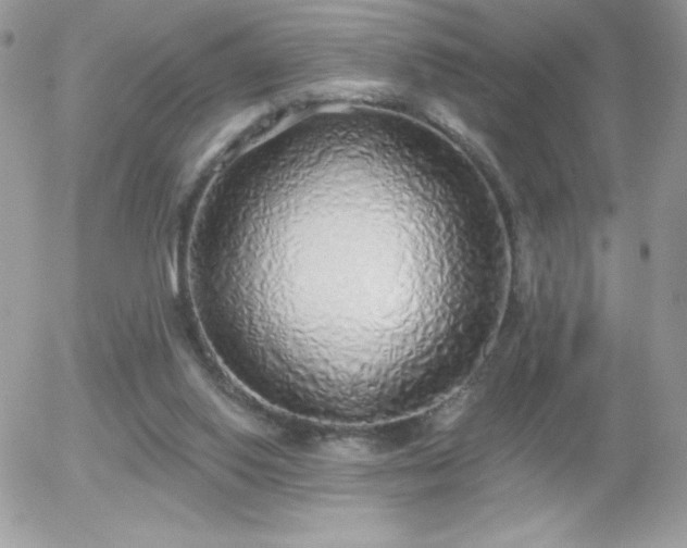 X0000056030062200508221525