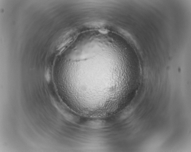 X0000056030069200508221525