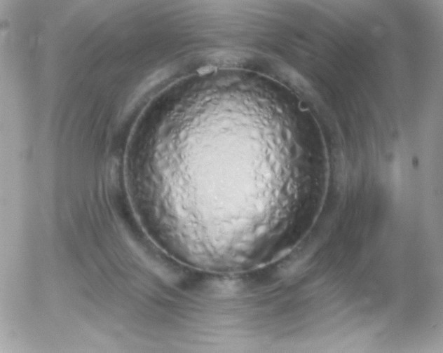 X0000056030071200508221525
