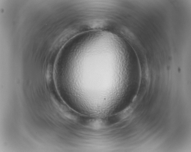 X0000056030074200508221525