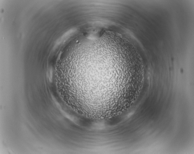 X0000056030076200508221525