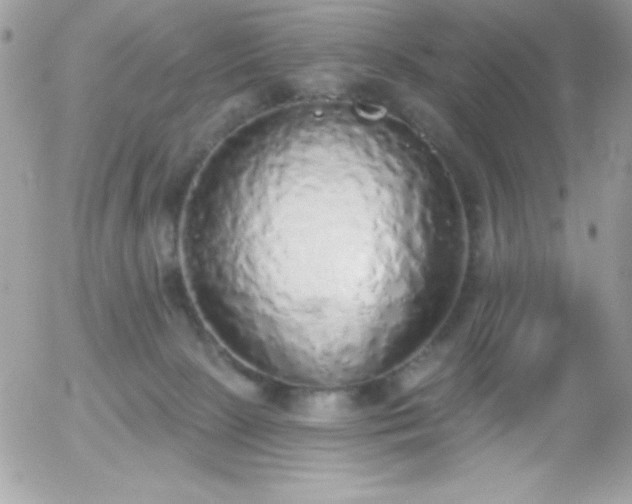 X0000056030081200508221525