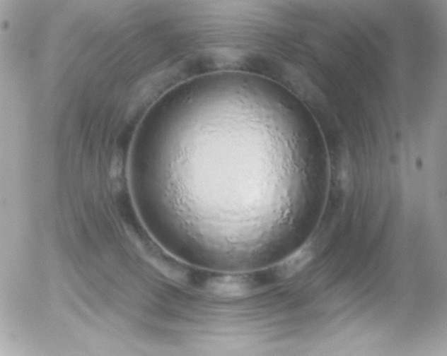 X0000056030082200508221525
