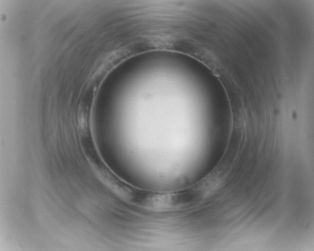 X0000056030084200508221525