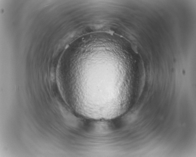 X0000056030085200508221525