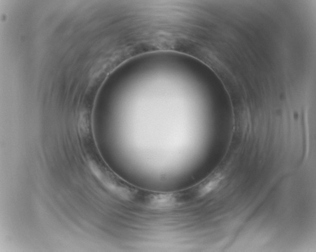 X0000056030088200508221525