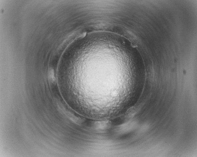 X0000056030089200508221525