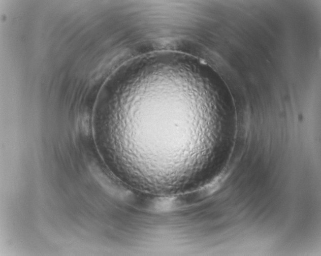 X0000056030090200508221525