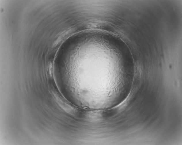 X0000056030094200508221525