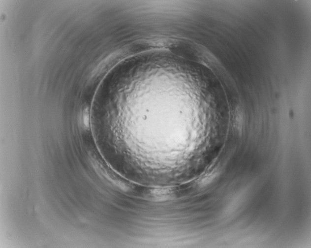 X0000056030095200508221525