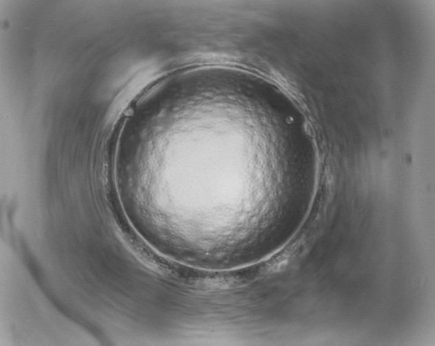 X0000056030103200508221524