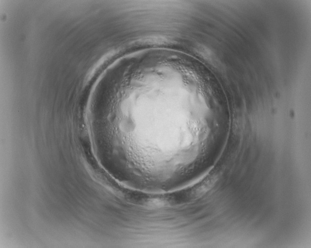 X0000056030111200508221524