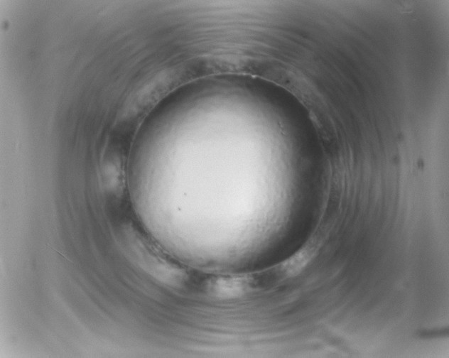 X0000056030134200508221524