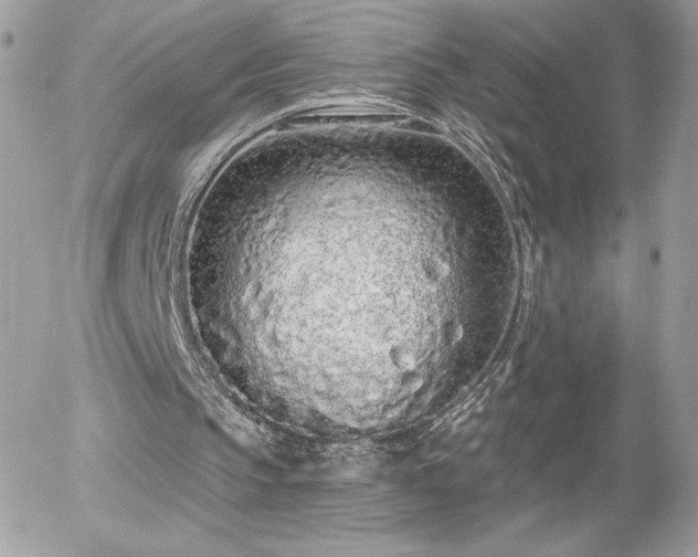X0000056030145200508221523