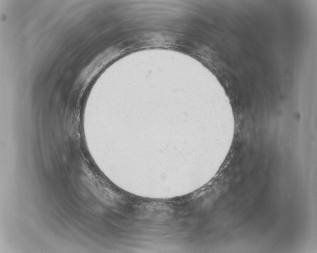 X0000056030146200508221523