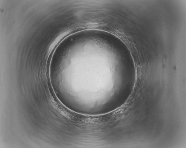 X0000056030147200508221523
